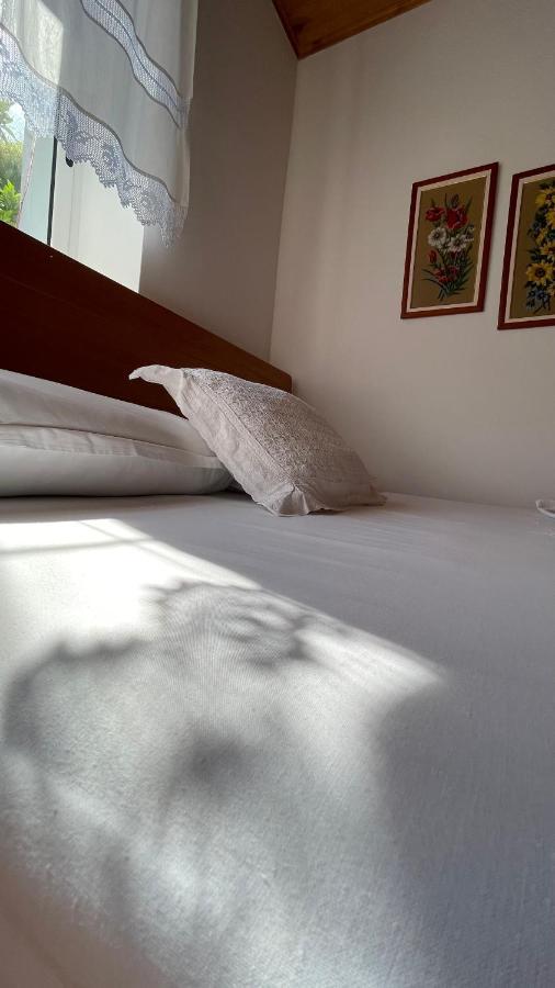Hostel Ana