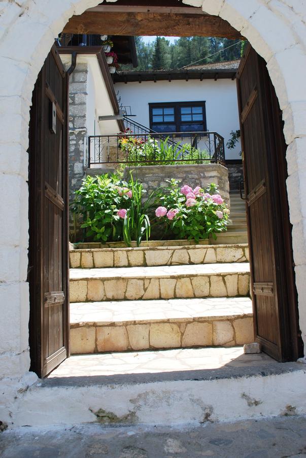 Hostel Ana